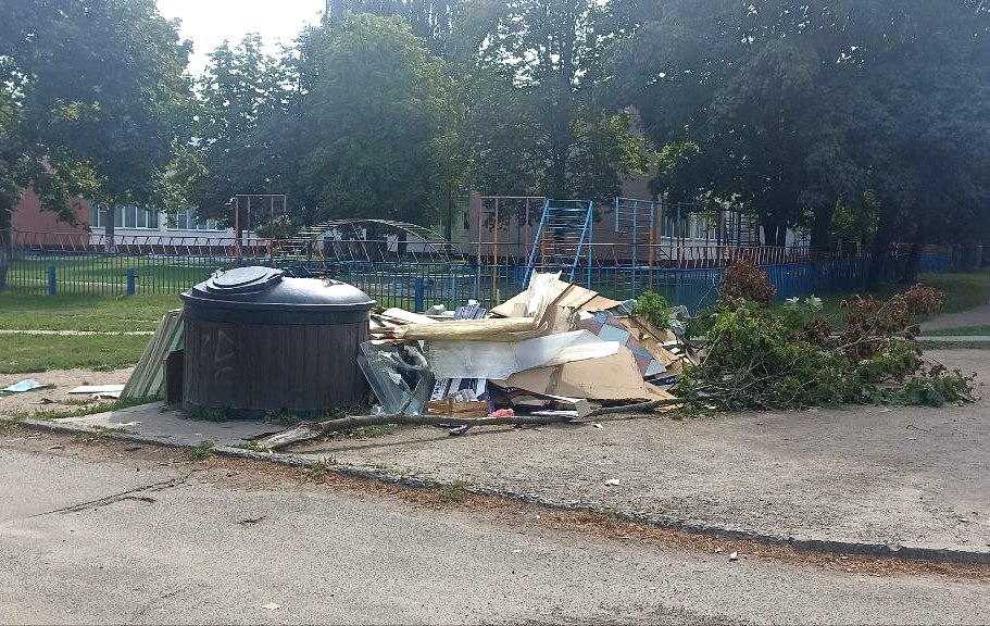 Более 500 несанкционированных свалок ликвидировали в Могилевской области с начала года