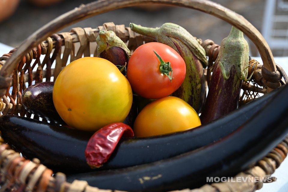 Сезон осенних сельхозярмарок стартует в Могилеве 27 сентября