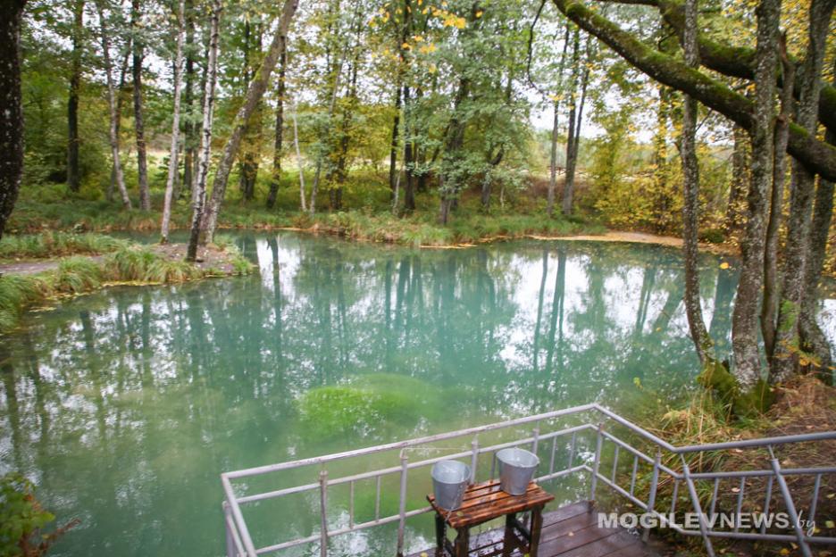 До +20°С прогнозируется в Могилевской области 10 октября