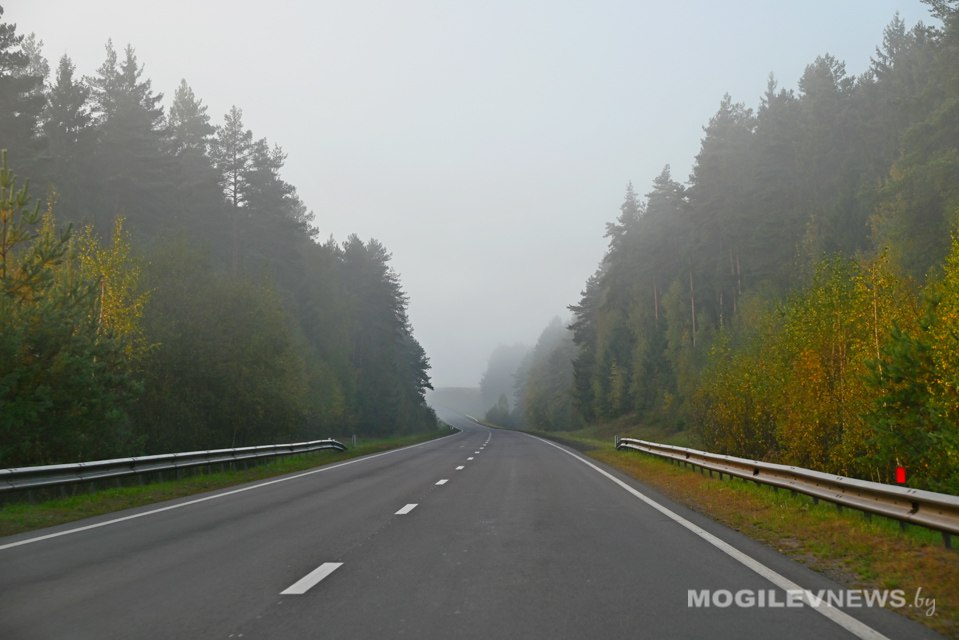 Дожди и не выше +11°С ожидается в начале следующей недели в Могилевской области