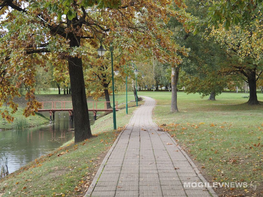Заморозки до -4°С ожидаются в ночь на 17 октября в Могилевской области