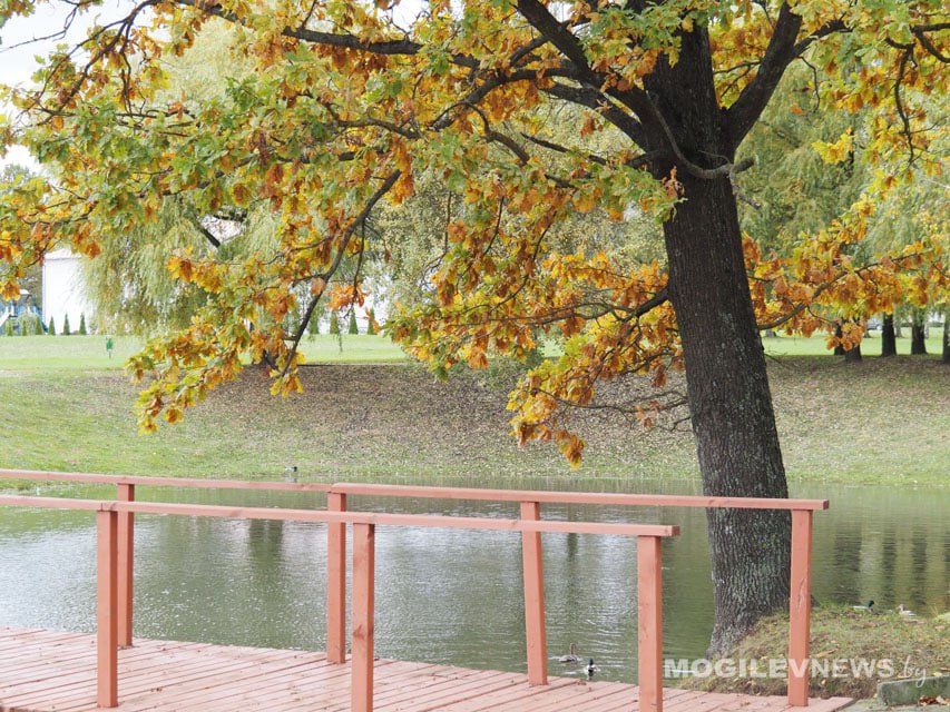 Слабый гололед, ночные заморозки и практически без осадков ожидается в начале следующей недели в Могилевской области
