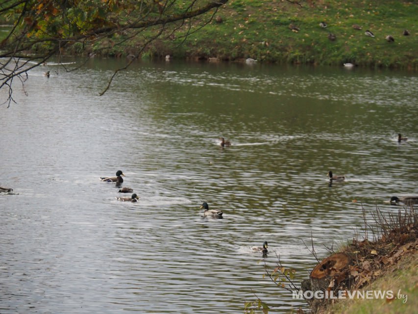 Погода на выходные: преимущественно без осадков и до +9°С в дневные часы