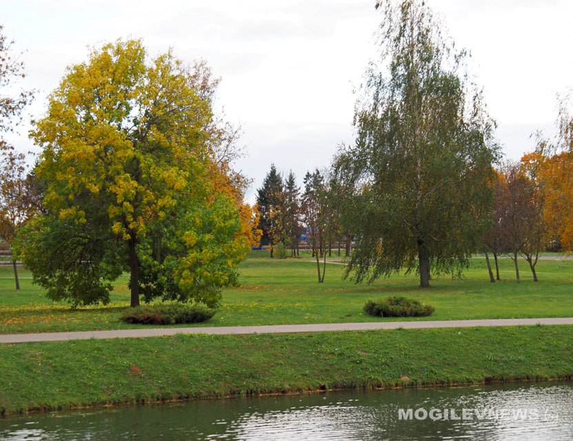 Без осадков и солнечно ожидается в Могилевской области 21 октября