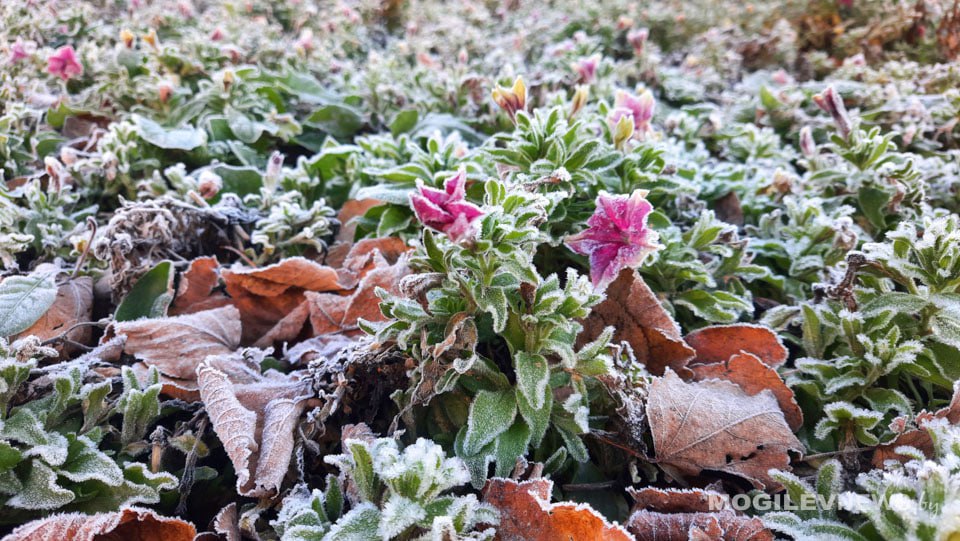 Погода на неделю: дожди, порывистый ветер и похолодание к выходным