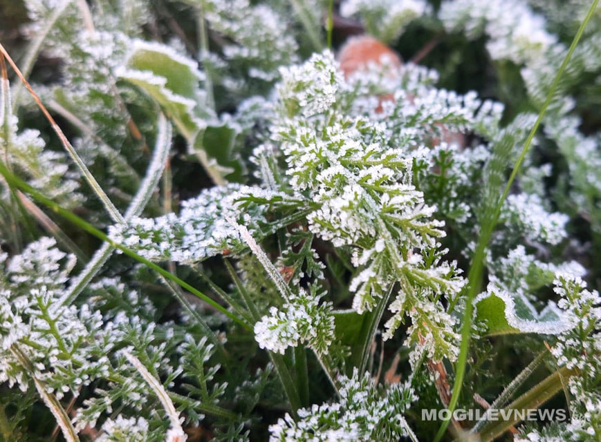 Погода на неделю: местами мокрый снег, к выходным до +9°С