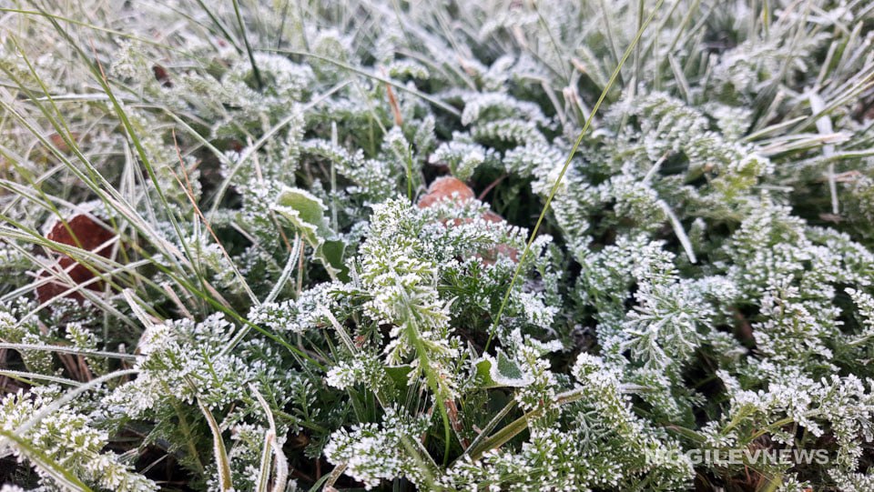 Погода на неделю: около 0°С, местами мокрый снег, туман и гололед