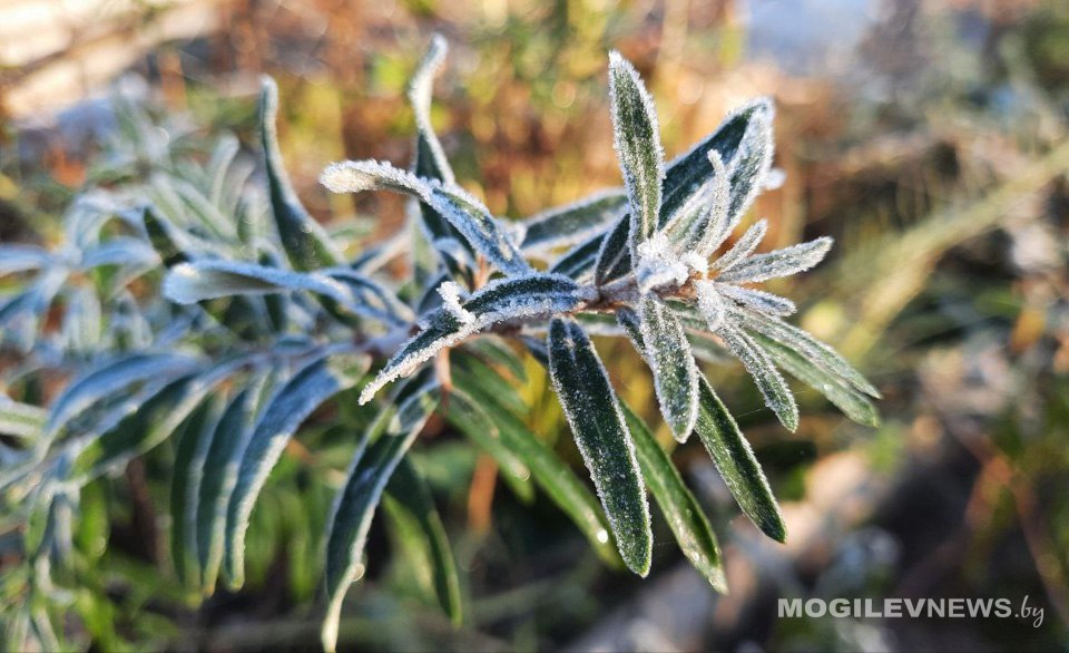 Погода на неделю: до +14°С днем, со среды — кратковременные дожди
