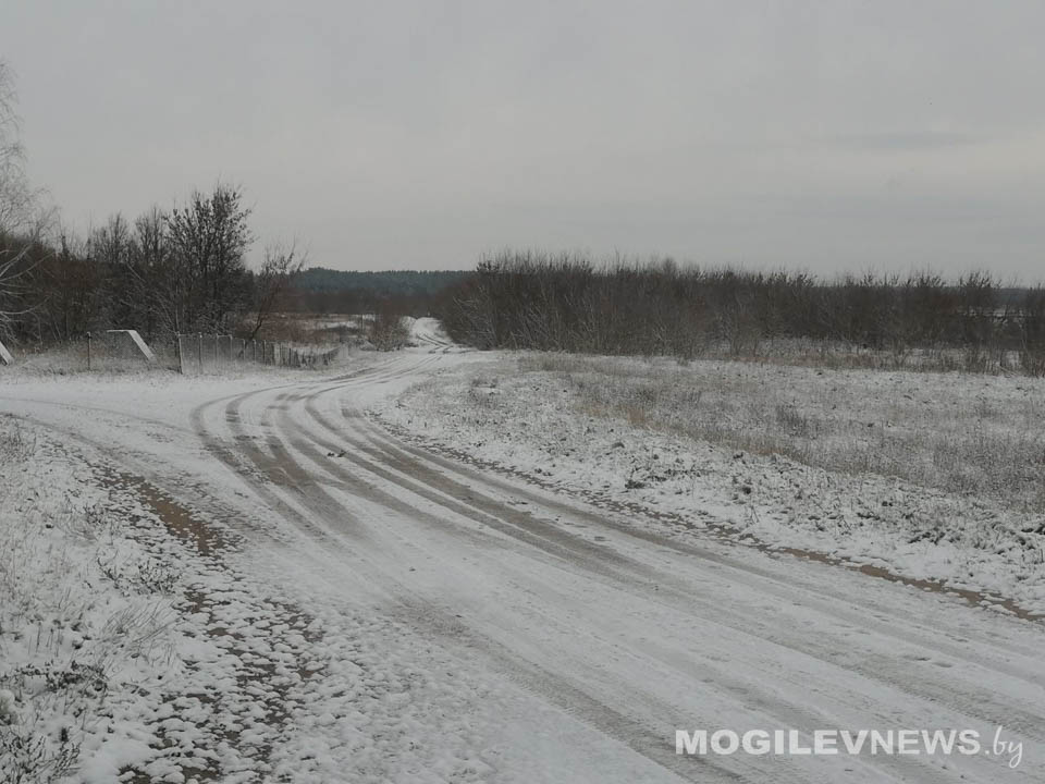 Последствия неблагоприятных погодных условий в Могилевской области