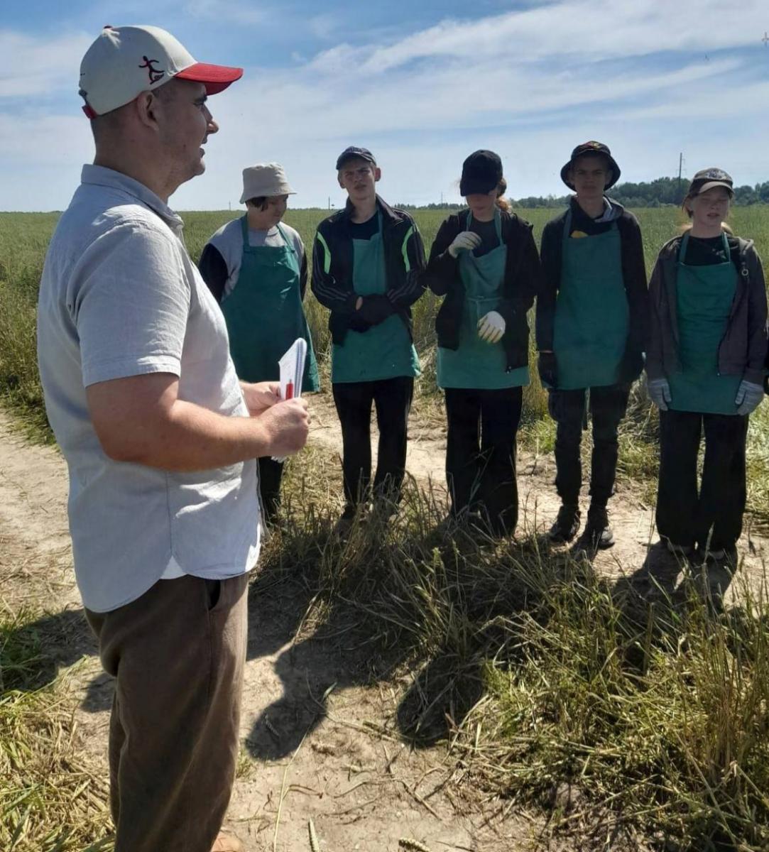 Условия труда учащейся молодежи в летний период мониторит профсоюз