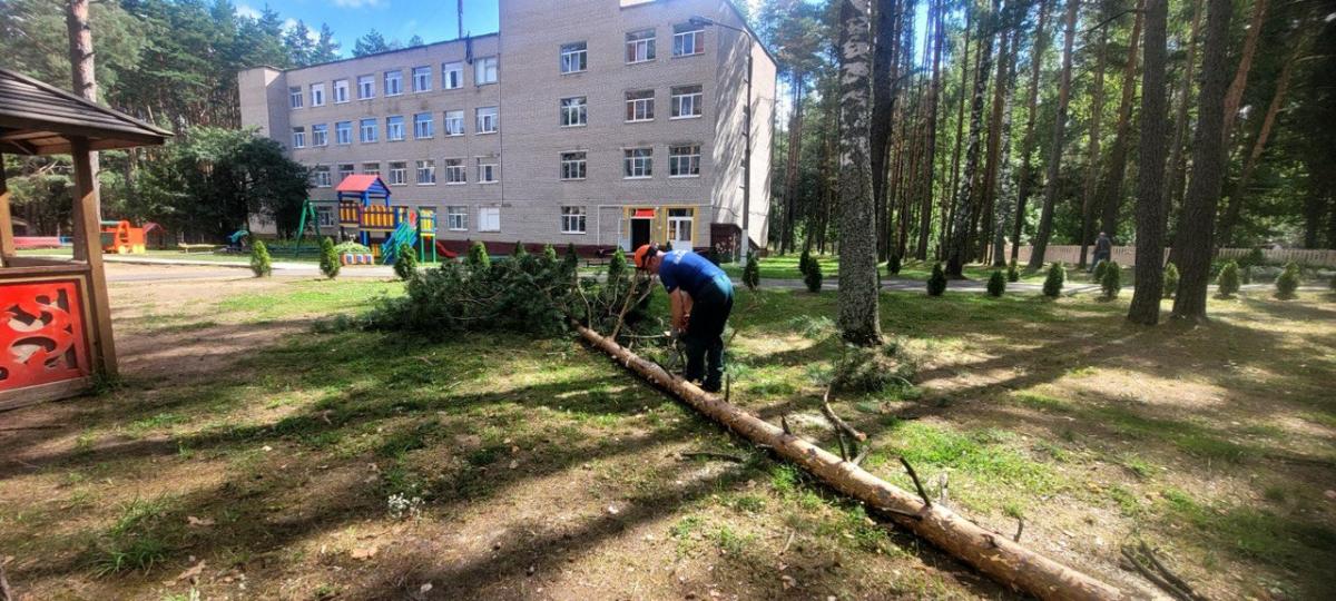 В Чаусском районе работники МЧС помогли убрать деревья на территории лагеря