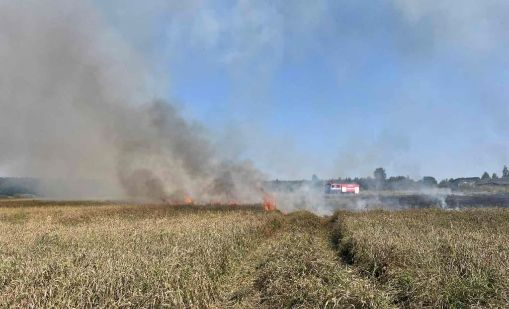 В Могилевском районе спасли от огня 17 гектаров зерновых