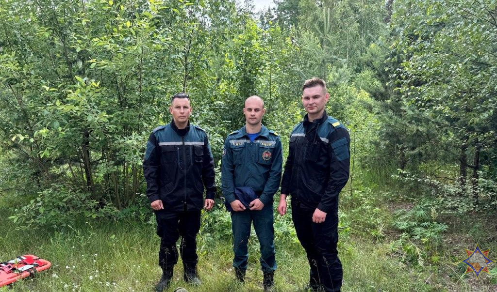 Пенсионерка пошла в лес за земляникой и сломала ногу: ее нашли спасатели