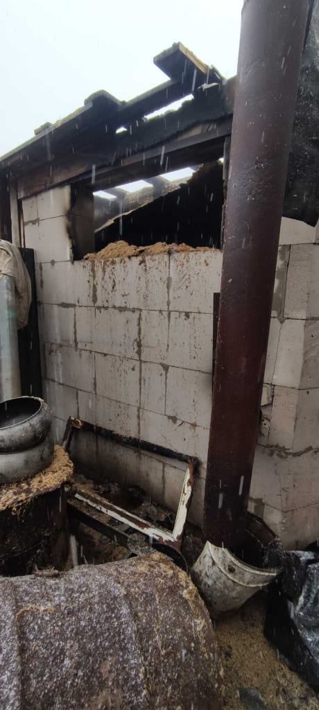 Пожар в Шкловском районе тушили спасатели