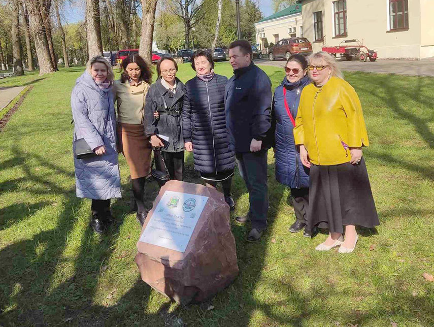 Аллея из можжевельника скального появилась в Горках
