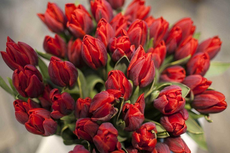 Поздравление с Днем экономиста!