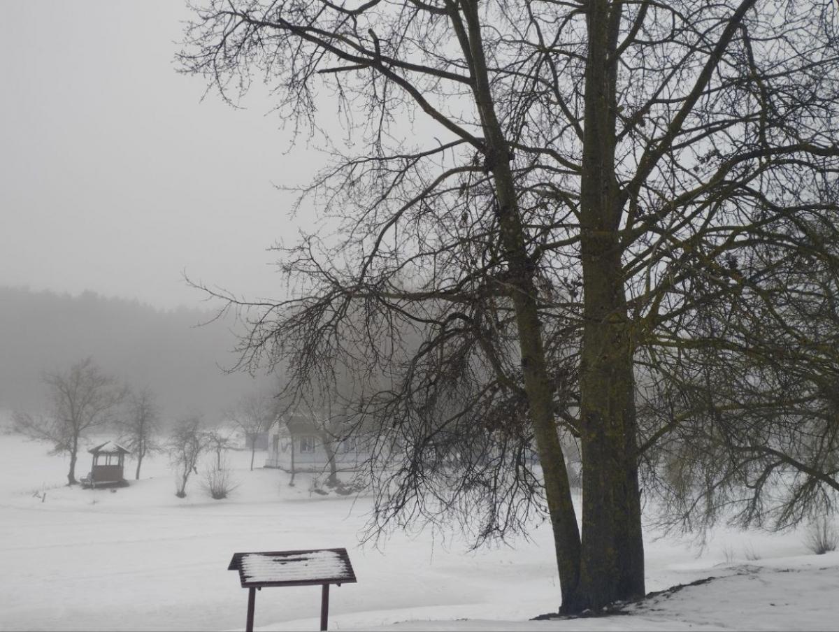 Погода на неделю: до +9°С днем, туман и дожди
