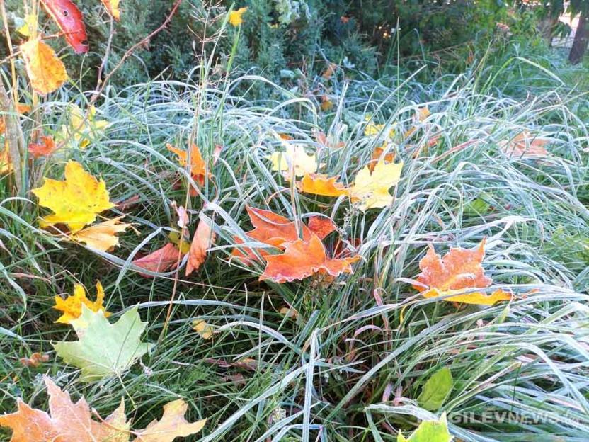 До +7°С — ночью, не выше +15°С — днем, местами дожди ожидаются в Могилевской области 30 сентября