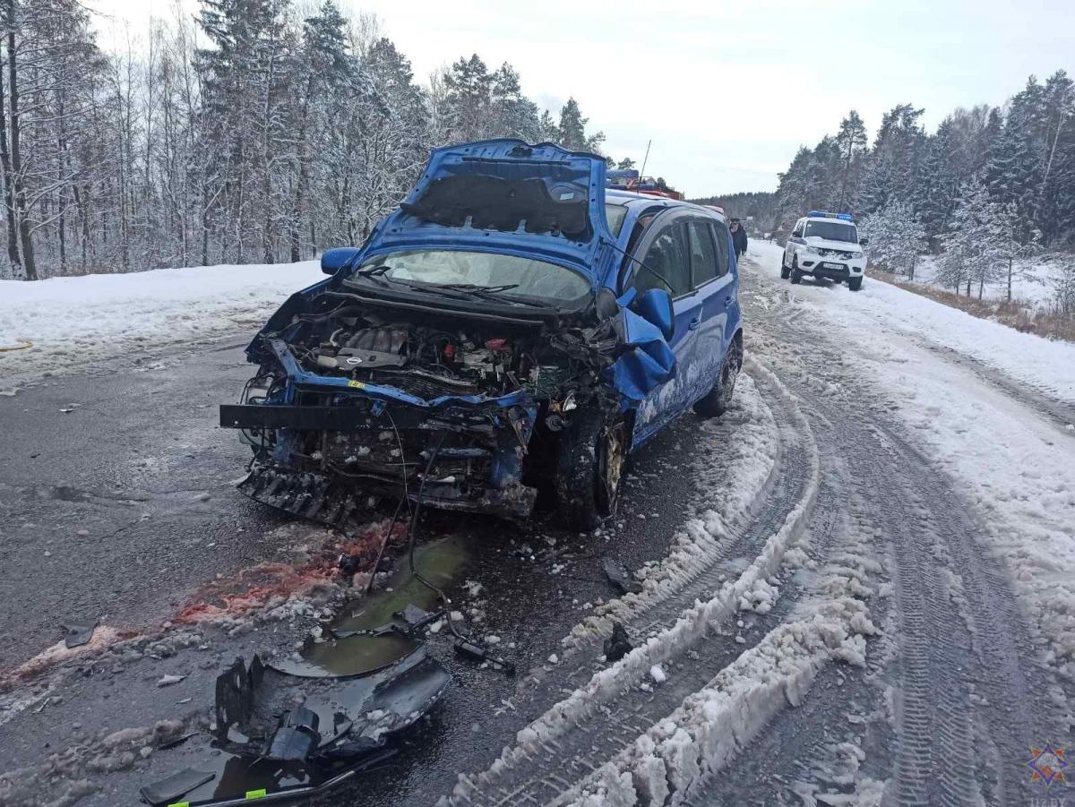 В Быховском районе работники МЧС спасли водителя и пассажирку