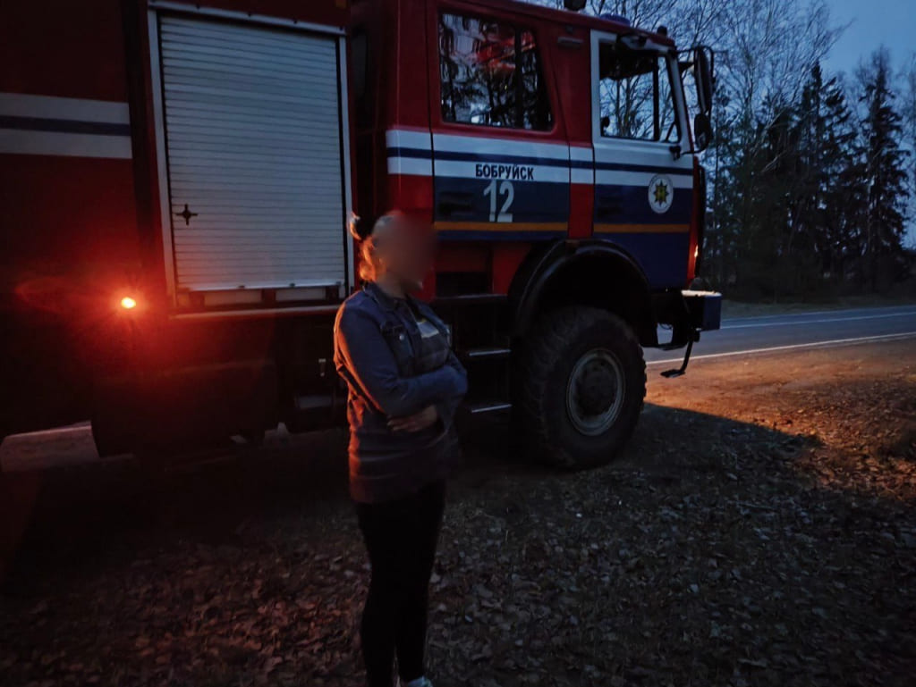 В Бобруйском районе женщина заблудилась в лесу