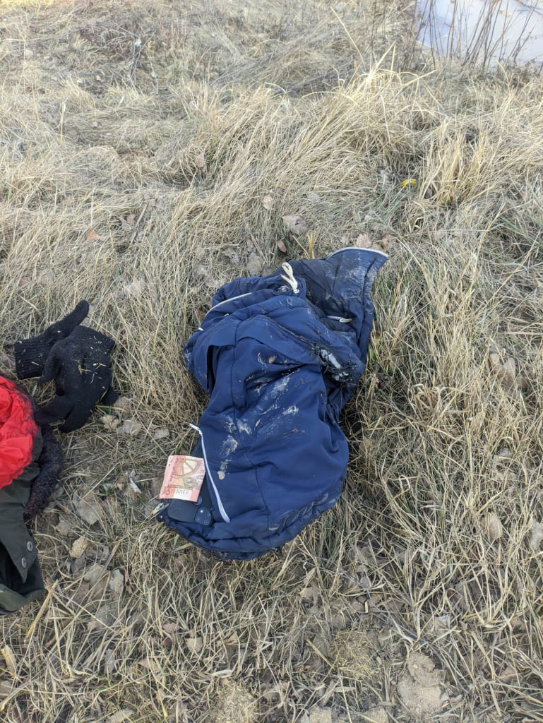 Пожар в Бобруйском районе подростки тушили куртками, водой и кока-колой