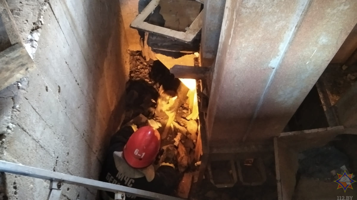 В Глусском районе в бетонную яму упала собака, помогли спасатели