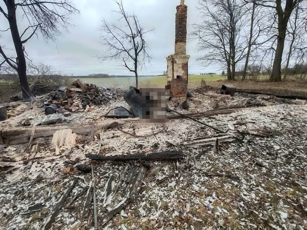 На пожаре в Шкловском районе погиб мужчина