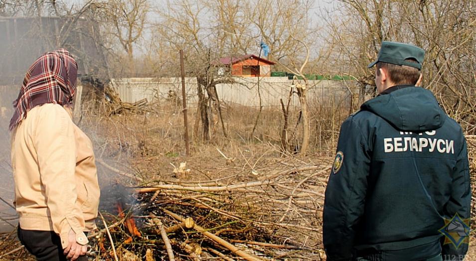 В МЧС рассказали об опасности выжигания сухой растительности