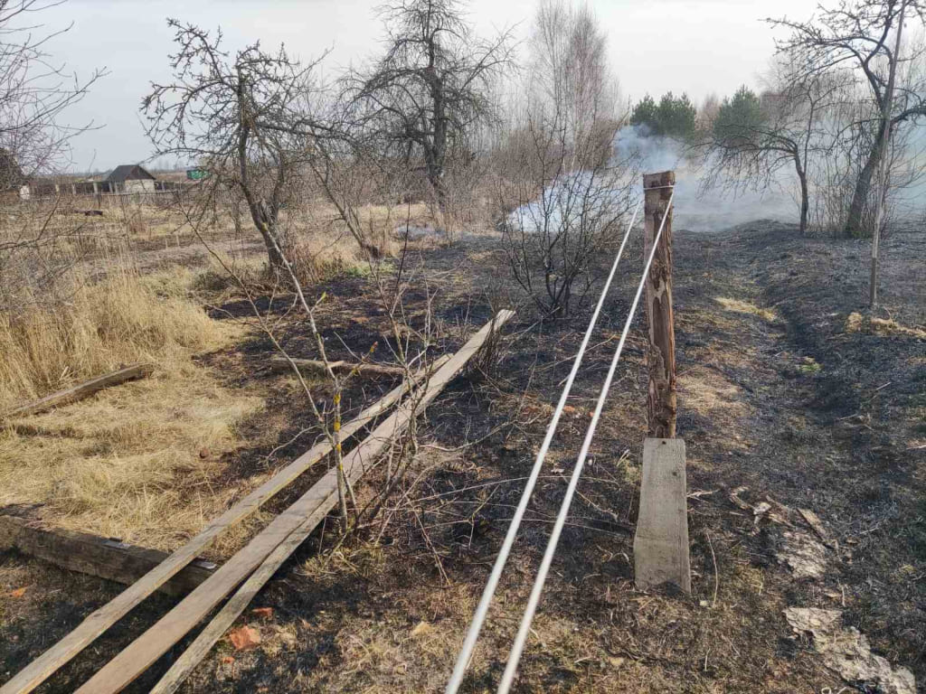 В Бобруйском районе мужчина сжигал мусор — пламя вышло из-под контроля