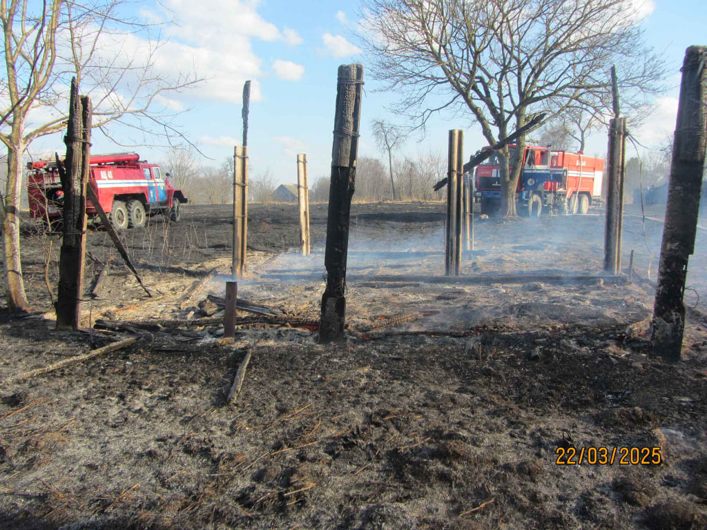 В Бобруйске водитель маршрутки проигнорировал работу светофора — он привлечен к ответственности