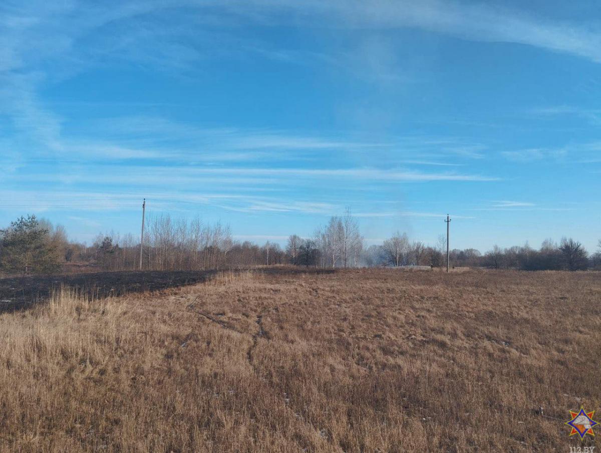 В Могилевской области произошло семь пожаров сухой растительности