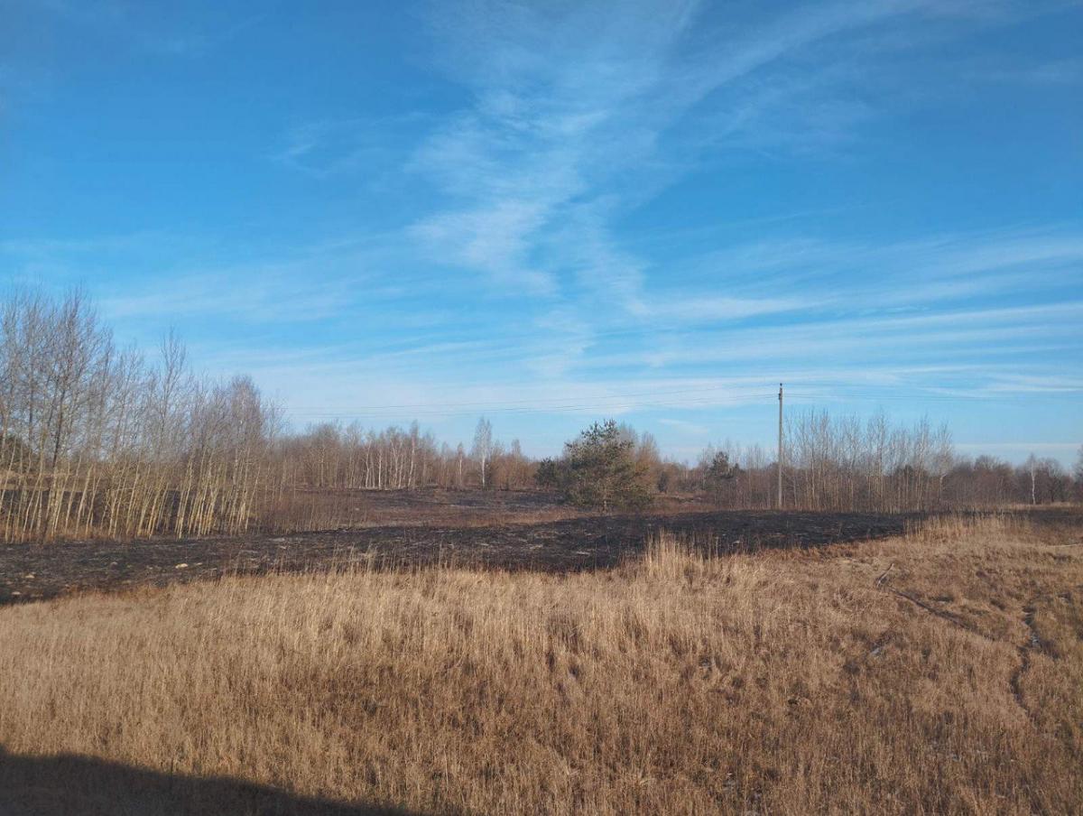 Первый пожар сухой травы зарегистрирован в Могилевской области