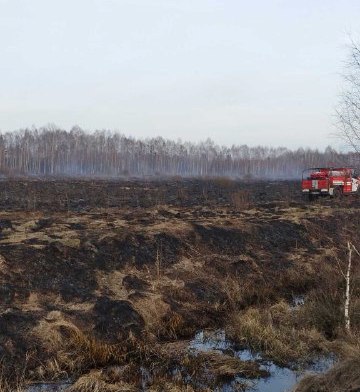 Пожар торфяника тушили  в Осиповичском районе