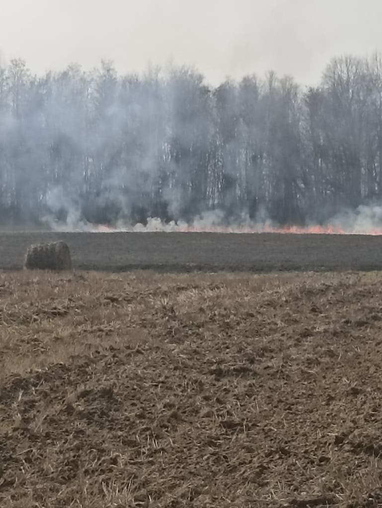 Огонь уничтожил рулон соломы и сухую растительность на площади 12 га в Бобруйском районе