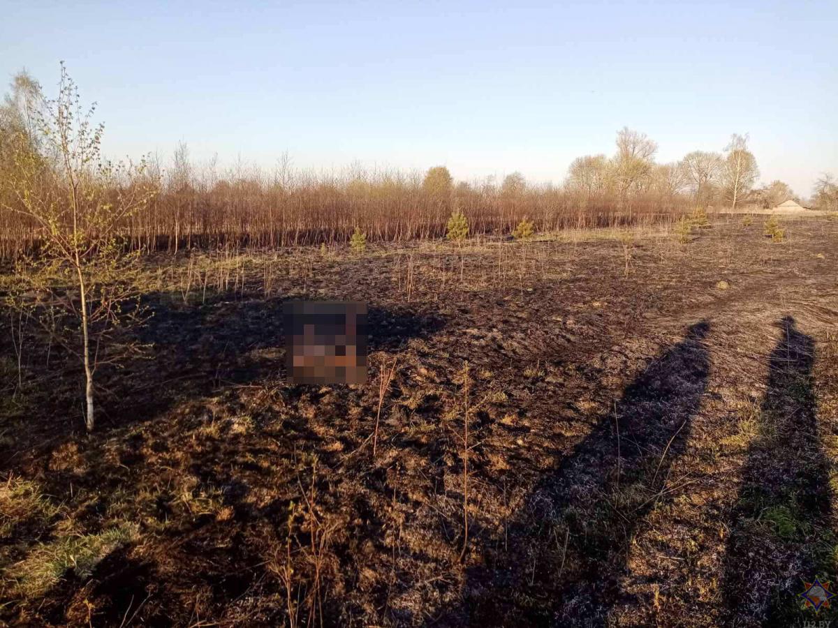 В Чериковском районе при пожаре погиб пенсионер