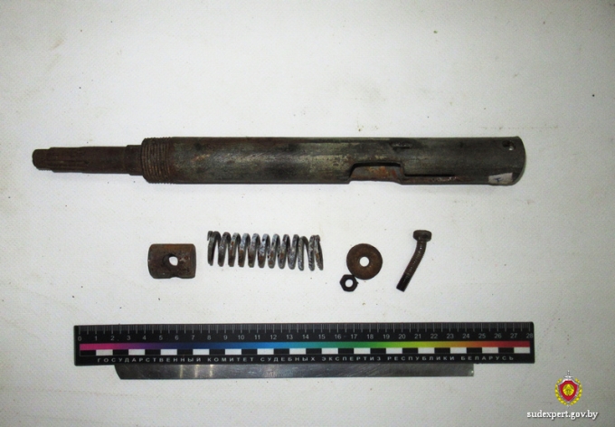 В ходе пьяных посиделок житель Глусского района получил огнестрельное ранение в голову и выжил