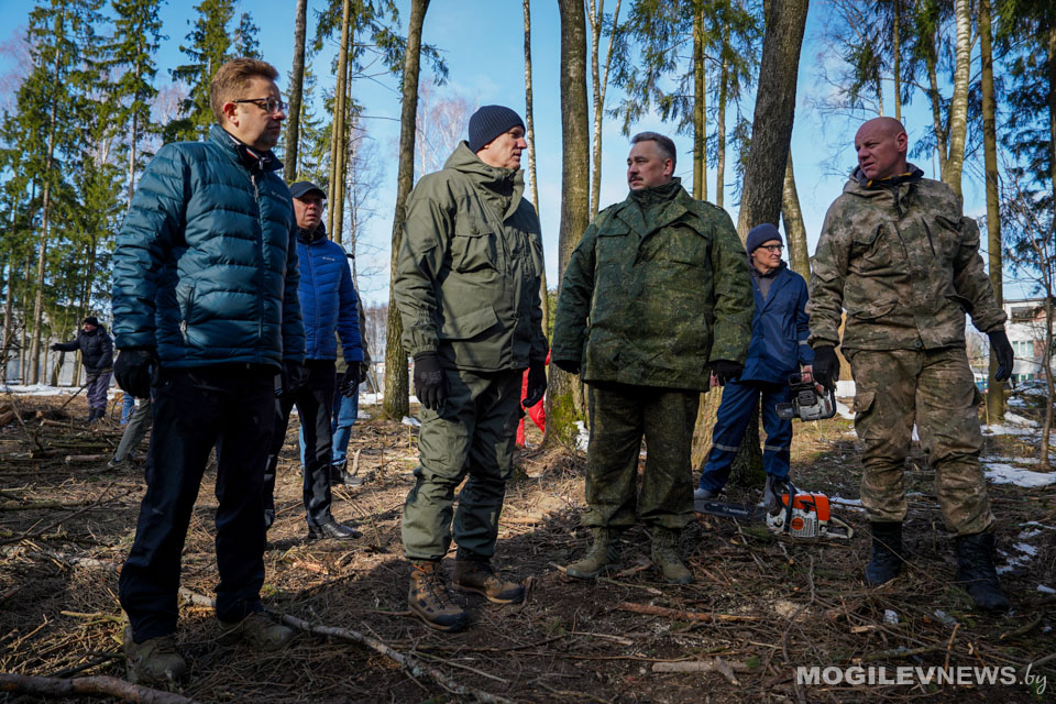 Увековечим память погибших. Субботник на месте массового расстрела жителей в Казимировском лесу. Фото