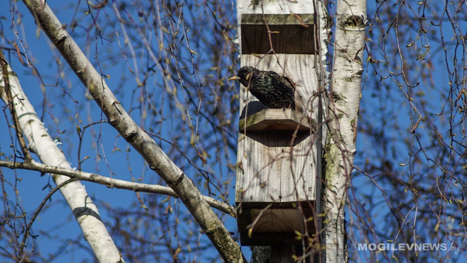 Погода на выходные: солнце, без осадков и до +18°С