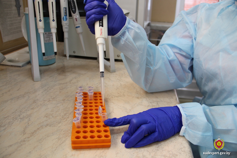 Проживание мужчины в Туркменистане не стало помехой для проведения генетической экспертизы с целью установления отцовства