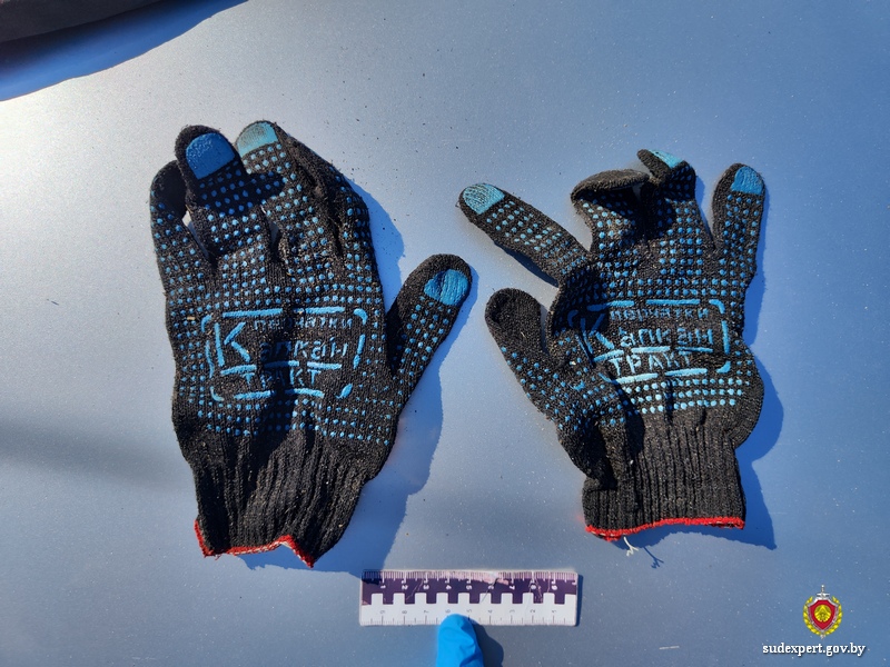 Похитителей животного в Климовичском районе эксперты установили по ДНК