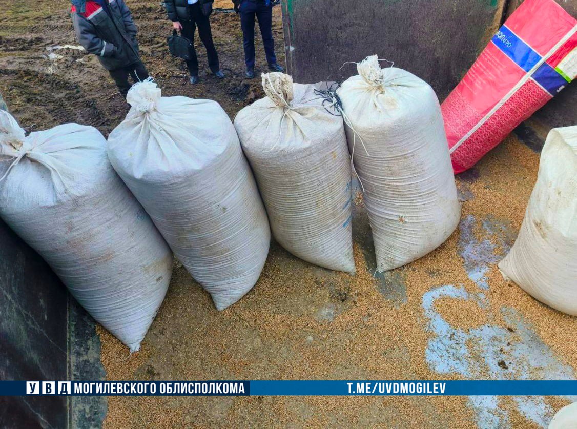 Почти тонну зерна похитил механизатор из Костюковичского района