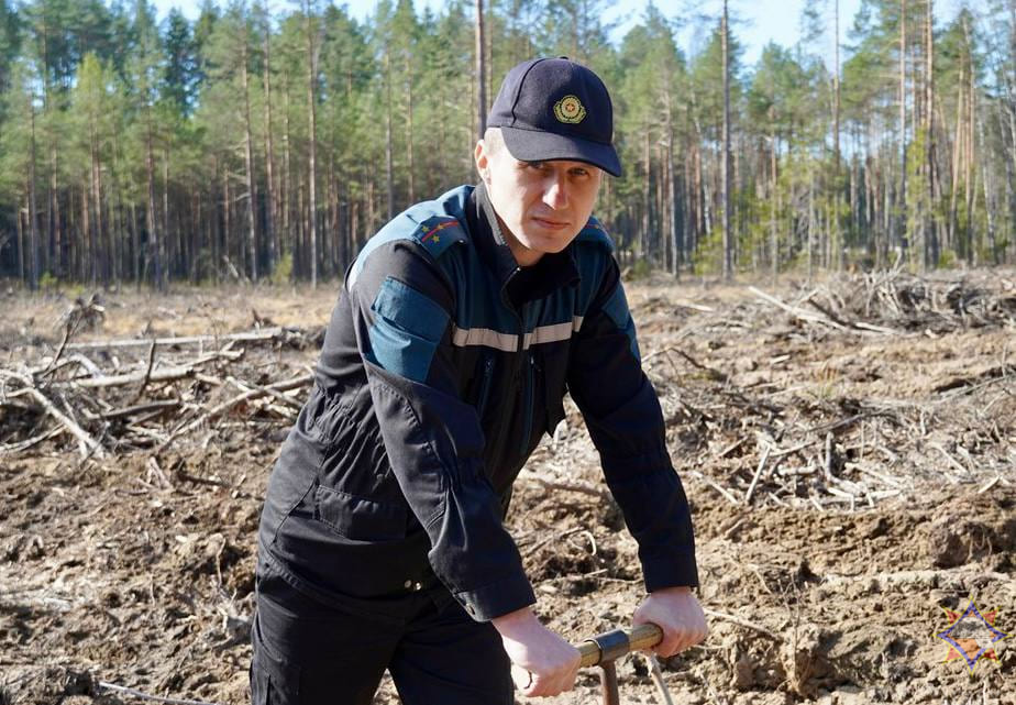 Белыничские спасатели приняли участие в акции «Дай лесу новае жыццё!»