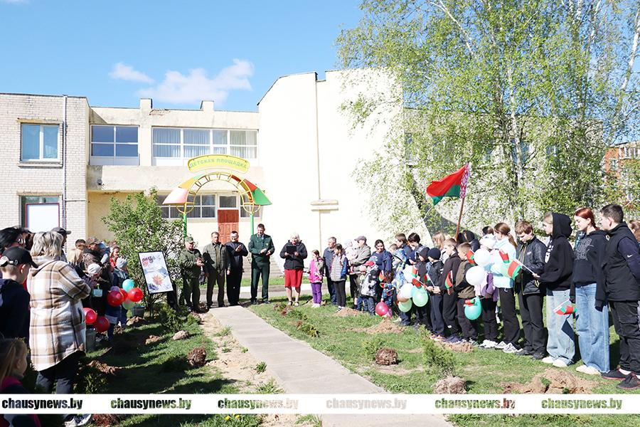 Новый семейный парк появился в Чаусском районе