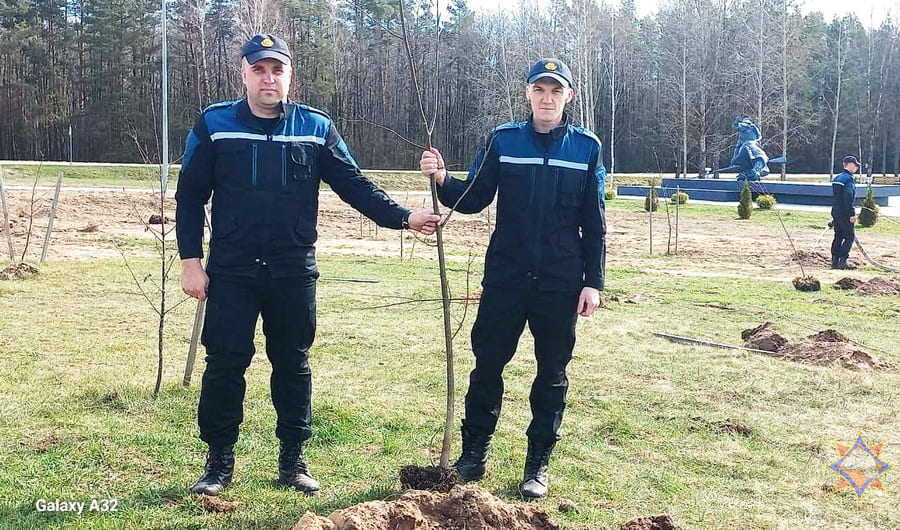 Работники Чаусского РОЧС посадили деревья у памятного знака в деревне Дрануха