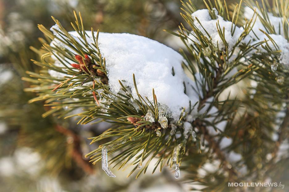 Погода на неделю: морозные ночи, к выходным — около 0°С днем