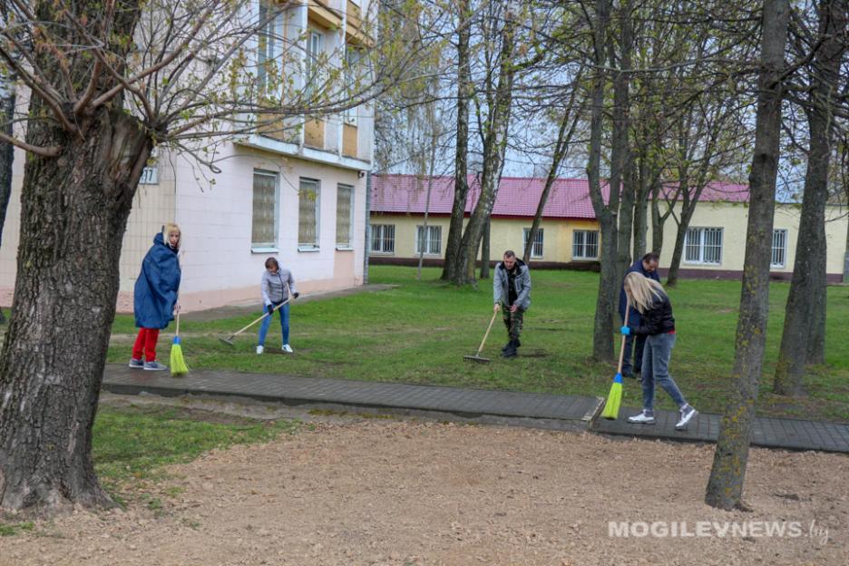 На Могилевщине проходит месячник по благоустройству и озеленению