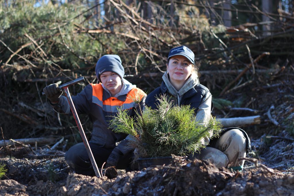 Акция «Дай лесу новае жыццё!». В Могилевской области профсоюзный трудовой десант высадил 12,5 тыс деревьев
