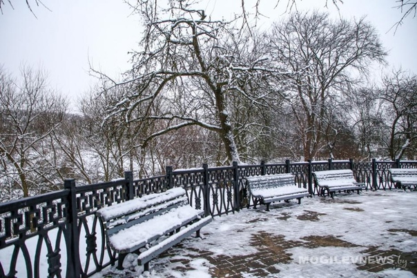 До -6°С днем и преимущественно без осадков ожидается в Могилевской области 10 февраля