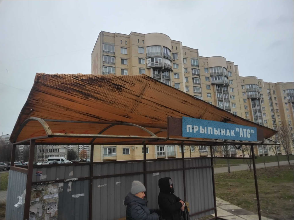О последствиях усиления ветра в Могилевской области рассказали в МЧС