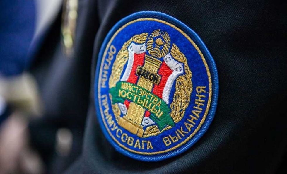 Два года и шесть месяцев получил бобруйчанин за нападение на судебного исполнителя